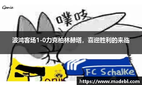 波鸿客场1-0力克柏林赫塔，喜迎胜利的来临